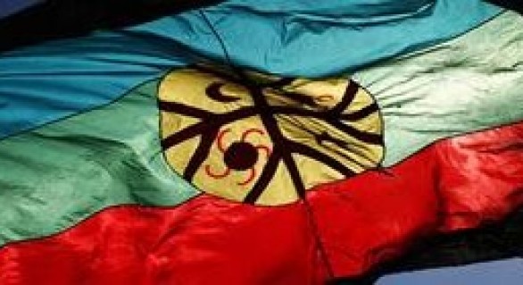bandera mapuche