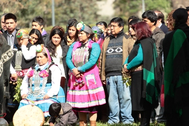 diplomado mapuche
